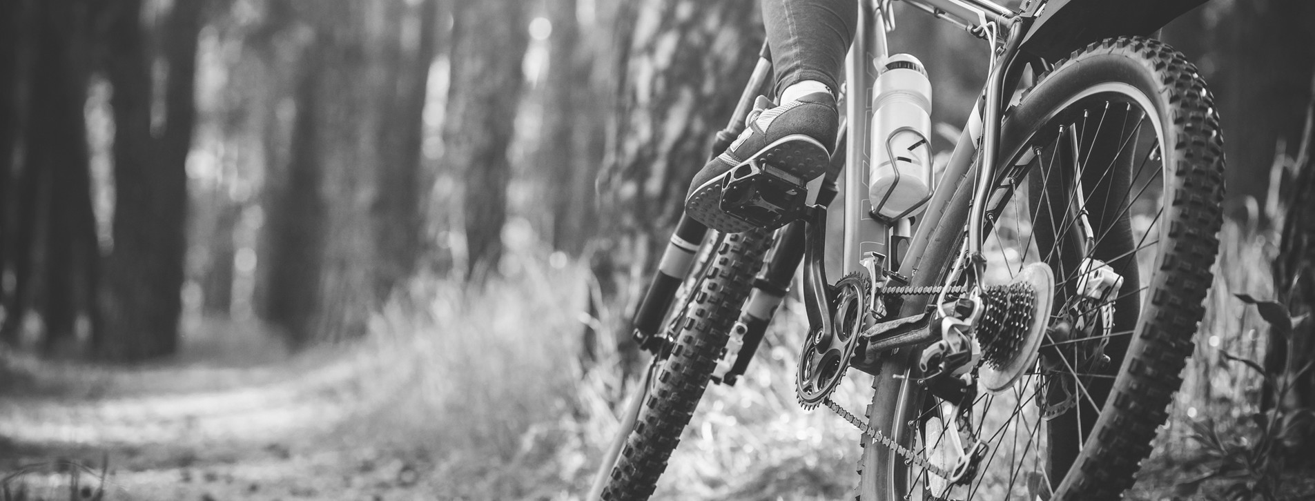 Fotoğraf 1 - İki kişi için Orman Bisiklet Turu